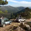 Image of Safaris