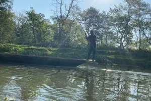 Tour image of Chitwan Jungle Safari with Overnight Stay