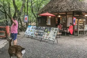 Tour image of Nara Private Day Trip - Enjoy Your First-Time Visit to Nara!