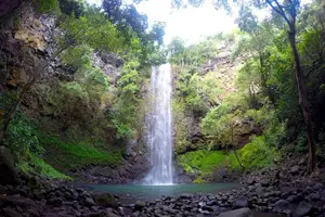 Tour image of Wailua River & Waterfalls Kayak Tour: Expert-Guided Adventure