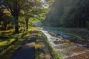 Tour image of 1-Day Tour from Takayama: Unveiling the Charm of Gero Onsen