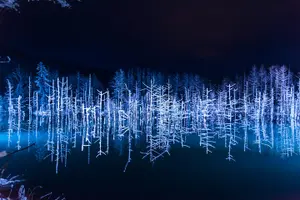 Tour image of Winter Asahiyama Zoo and blue pond "Aoi-Ike" 1 Day bus tour