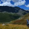 Image of Nature Walks