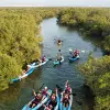 Image of Kayaking Tours