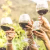 Image of Wine Making Workshops