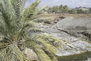 Tour image of Mountain Safari Tour to Jabel Jais - Ras al Khaimah