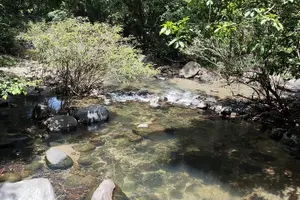 Tour image of indigenous Forest experience Manila 2023