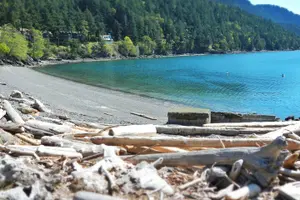 Tour image of Cafes and Kayaks: Full Day Kayaking Adventure on Orcas Island