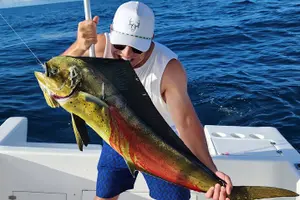 Tour image of Inshore Fishing trip 4 hours