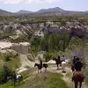 Image of Pack Animal Tours