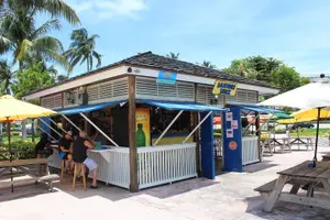 Tour image of Rum Reggae and Rhythms Private Tour (minimum of 6 people)