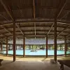Image of Swimming
