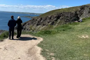 Tour image of Ultimate Private Guided Minibus tour Blarney,Cork City,Kinsale.