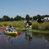 Image of Eco Tours