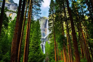 Tour image of Yosemite Valley Private Hiking Tour