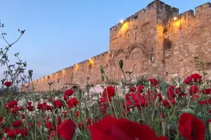 Tour image of Private Day Trip of Jerusalem and Bethlehem from Amman