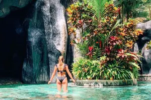 Tour image of From San José: Arenal Volcano and Hot Springs with Lunch