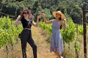 Tour image of Solvang Ventura Wine Tour by Car