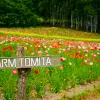 Image of Plantation Tours