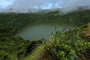 Tour image of Flowers in a Day: Explore the Island with a Local Guide