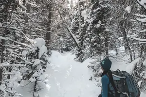Tour image of Privately Guided Snowshoe Experience