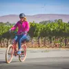 Image of Bike Rentals