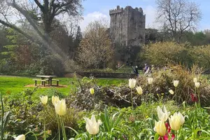 Tour image of Private tour of, Blarney Castle, Cork City and Kinsale
