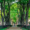 Image of Nature Walks