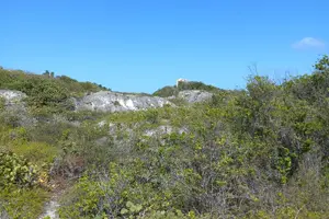 Tour image of Icacos Beach Day Package with Water Taxi Transport from Fajardo