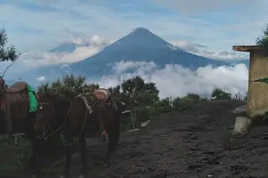 Tour image of Pacaya Volcano Hike! from Puerto Quetzal