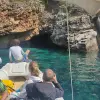 Image of Lunch Cruises