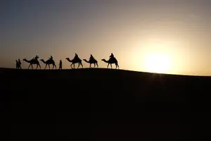 Tour image of Qatar Sunset Desert Safari: Dune Bashing & Golden Sands Adventure