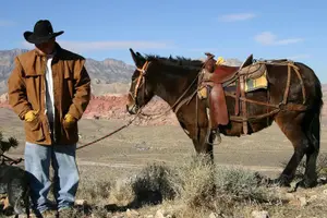 Tour image of 2-Hour Horseback Riding through Red Rock Canyon