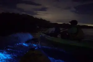 Tour image of Eddy's Bioluminescence Reserve in Punta Cuchillos