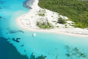 Tour image of Private All Inclusive East Coast Keys Tour and Snorkel Experience