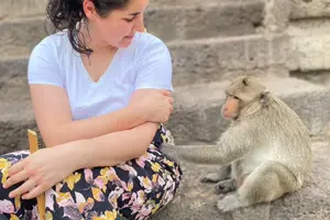 Tour image of Lopburi Monkey Temple & Ayutthaya Old City Tour From Bangkok