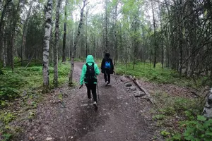 Tour image of Summer Valley and Forest Hike