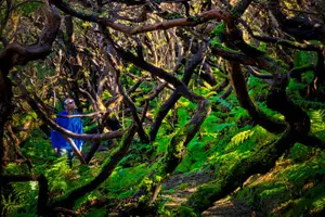 Tour image of HIKING XL (Full Day Private Tour)