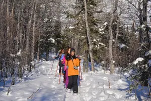 Tour image of 10 Hours Denali Winter Drive in Alaska