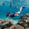 Image of Snorkeling