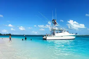 Tour image of Private Deep Sea Fishing 1/2 day PM Charter on Angler Management