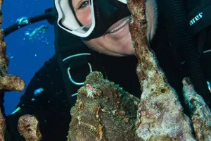 Tour image of Two Tank Lanai Certified Diving Adventure from Lahaina