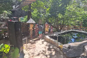 Tour image of Volcano Hike, Oropendola Waterfall & Hot Springs Experience