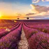 Image of Nature Walks