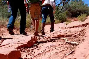 Tour image of PRIVATE Sedona Jeep Tour 4X4 Climb - Colorado Plateau