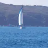 Image of On the Water