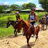 Image of Pack Animal Tours