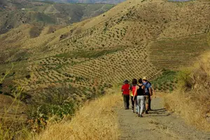 Tour image of Upper Douro Walk & WineTour