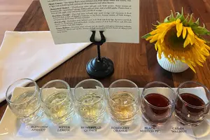 Tour image of Yolo County Explorer: Culinary & Cultural Audio Tour