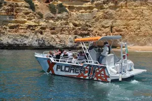 Tour image of Dolphin Watching and Caves Cruise
